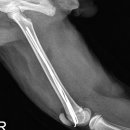 삼화 우수한동물병원 이미지