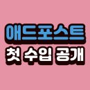 해성부업 | 애드포스트 수익 공개 l 블로그 시작 2개월차 첫 정산 금액은?