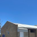(주)야생 | 퍼스 야생 바다사자랑 수영하기 후기 Jurien Bay 업체 예약 가격