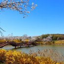 신경주역관광안내소 이미지