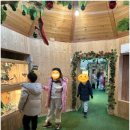강원도 홍천 가족여행 두 번째 날 휘바핀란드 양떼목장 홍천조박사화로구이