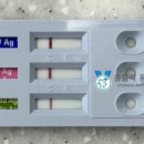 올림픽동물의료센터 이미지