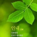 교회신문 ＞ 제 1355호 마음과 믿음이 뇌를 살린다 이미지