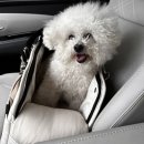 광주다온동물병원 이미지