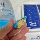 성이시돌목장 기념품샵 미스터밀크 방문 및 우유샌드 요거트 카라멜 후기