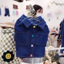 블클레르 | 2023년 9월 마이펫페어 일산킨텍스 추천매장