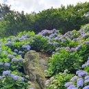 저구해안길 이미지