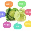 마음바른농부 영농조합법인 이미지