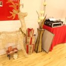 댄스스포츠 기초-차차차&자이브 이미지