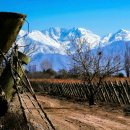 와인추천! Terrazas de Los Andes Malbec 2021(테라자스 드 로스 안데스 말벡 2021) 레드와인 레드와인...