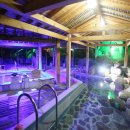 (주)척산온천휴양촌 이미지