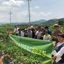 정들농원 이미지