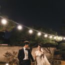 데이하우스 이미지
