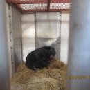 야생동물의료센터 이미지