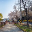 연상1리마을회관 이미지