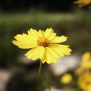 캠핑스마일 이미지