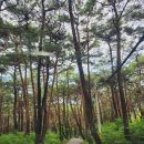 아미타극락회상도 | 경남 양산여행 3 - 양산 통도사의 암자(사명암,서운암,극락암,자장암,비로암)