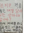 수락산만남의광장 이미지