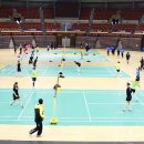 올림픽체육관 이미지