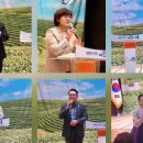 다도와 예절 이미지