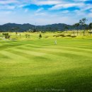 광주컨트리클럽 이미지