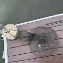 임존성낚시터 이미지