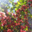 과림 낚시터 이미지