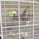 자라농장 이미지