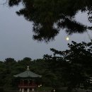 트래블레이블