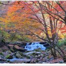 강천산군립공원 이미지