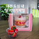 아도농장 | 대전 아이와 가볼만한곳 대전팜 모던, 딸기체험 + 케이크 만들기 (성심당보다 맛있??)