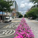 오목로3길 이미지