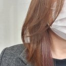 마가염색 이미지