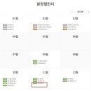 운정스포츠센터 축구장 이미지