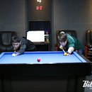 뱅킹당구클럽 이미지