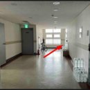 트인자리애 2차 이미지