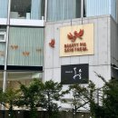 에드콘 | 드레스투어 : 우아르/마리에드오늘/위드브라이드 실크파 신부 청담 드투 후기