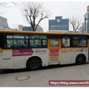 예빛안과의원 이미지