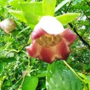 산포마을 이미지