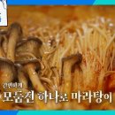 11월15일 살림하는 남자들 모둠전 하나로 마라탕 뚝딱? 아이디어도 맛도 남은 육전을 활용한 마라 전 찌개 영상 이미지