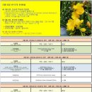 2월 6일. 한국의 탄생화와 부부 사랑 / 졸업 시즌 꽃다발로 쓰이는 외산 꽃들. 프리지아, 금어초, 꽃도라지.​ 이미지