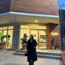 을-170 | 170cm 키큰녀 - 던스트 캐시미어 코트 블랙 S사이즈 후기