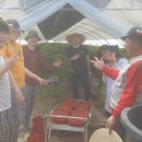 봉소3리 이미지