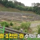 염소 태양광발전소 이미지