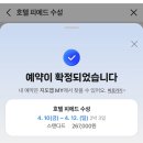 엔씨에너지 | 대구 삼성라이온즈파크 직관 후기 | 엔씨vs삼성 3연전, 원정응원석 시야, 6연패😇