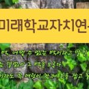 미래학교자치연구소 이미지