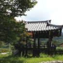 함양대봉산농원 Daum카페