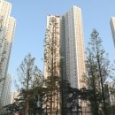 그린부동산중개 이미지