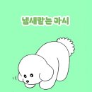 문경한옥펜션 | 문경한옥펜션 경북 애견 동반 가능 숙소