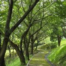 망산공원 이미지